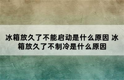 冰箱放久了不能启动是什么原因 冰箱放久了不制冷是什么原因